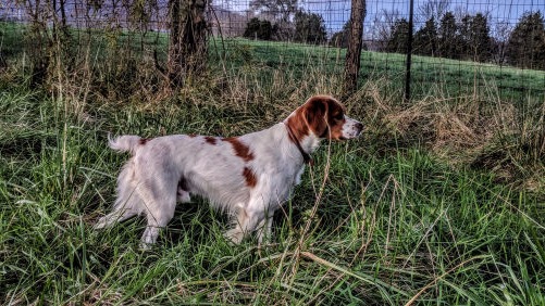 Lefty Leroux de Harrellyn